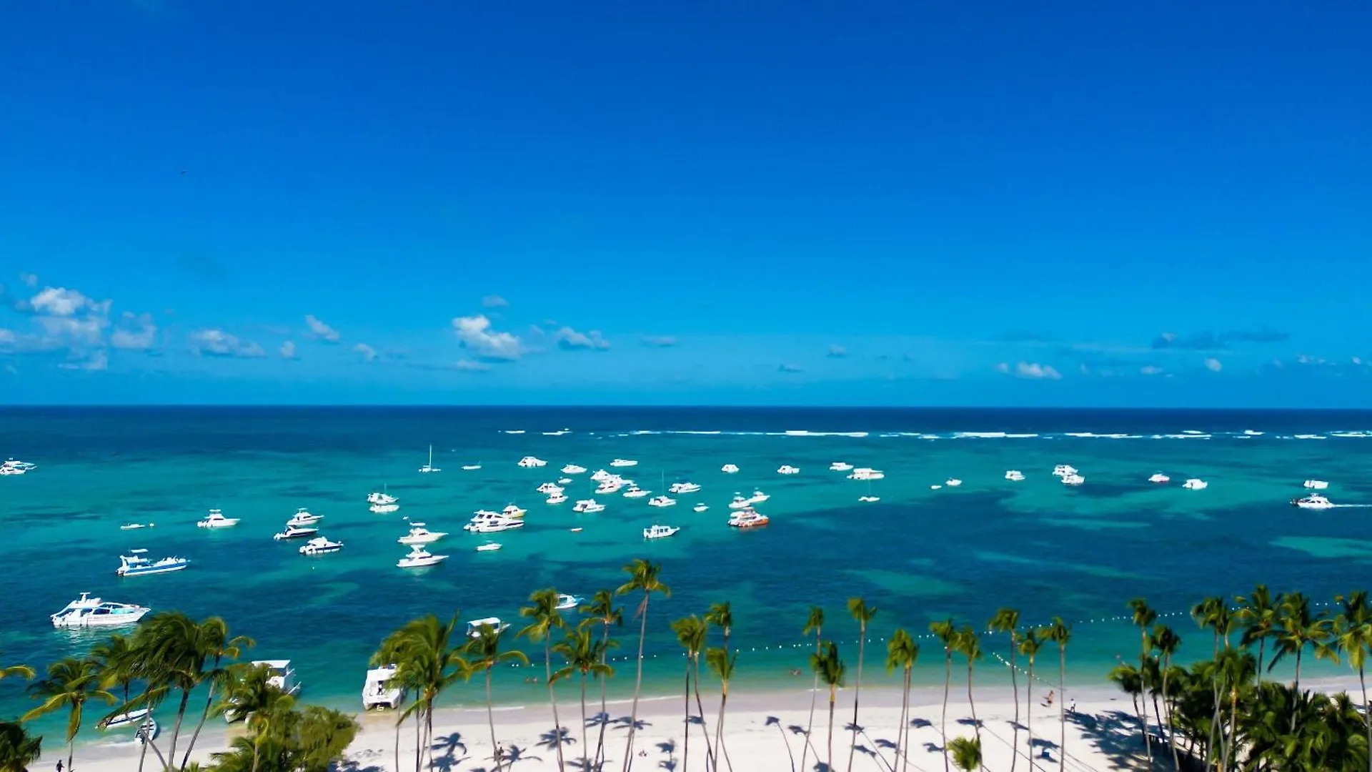 Beauty Pool Views Paseo Playa Coral Steps To The Beach بونتا كانا شقة